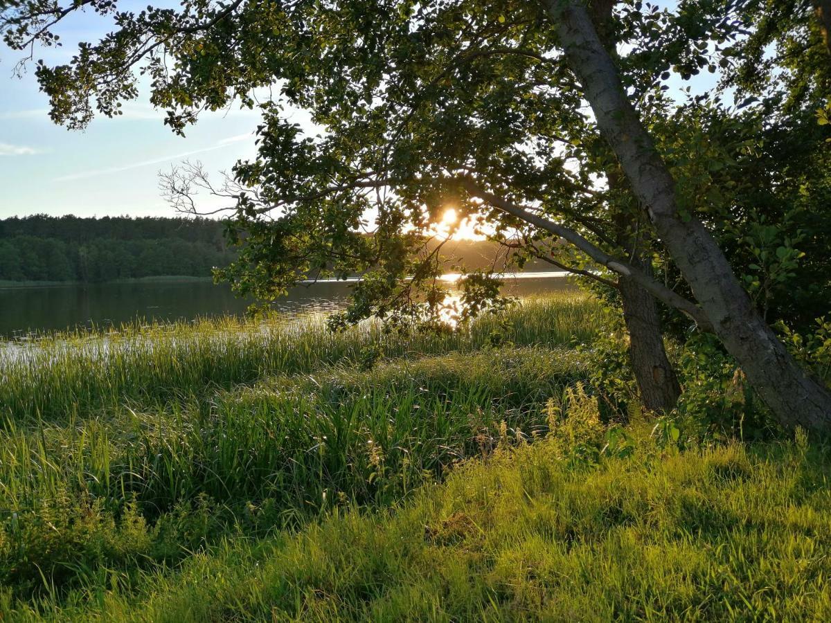 Lake View Apartamenty Brodnica  Eksteriør billede